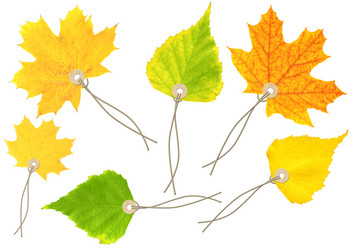 Similar image 286948