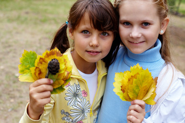 Similar image 286956