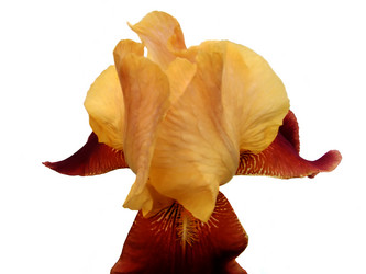 Similar image 286969