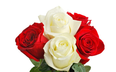 Similar image 286971