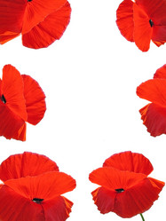 Similar image 286974