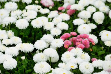 Similar image 286977