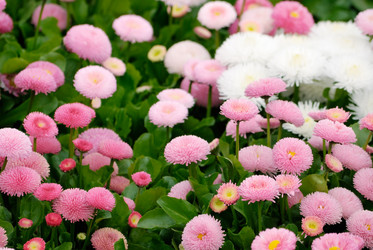 Similar image 286979