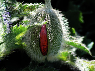 Similar image 286981