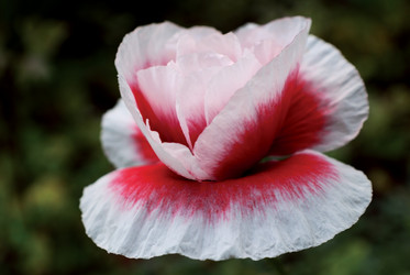 Similar image 286982