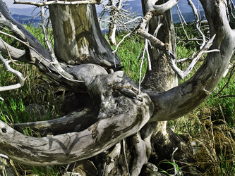 Similar image 286984