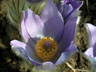 Similar image 286985