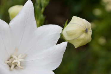 Similar image 286996