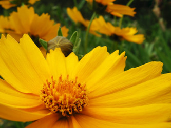 Similar image 286997