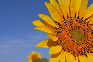 Similar image 286998