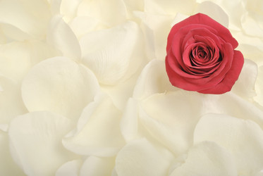 Similar image 287000