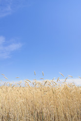 Similar image 287001