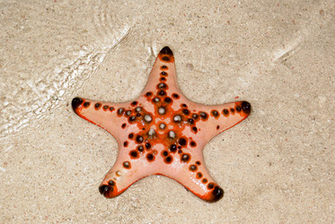 Similar image 287026