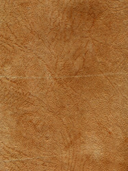 Similar image 287082