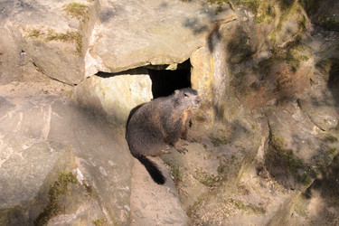 Similar image 287092