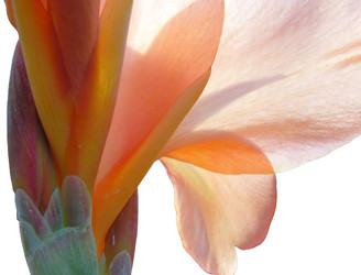 Similar image 287109