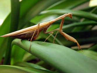 Similar image 287117