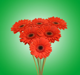 Similar image 287127