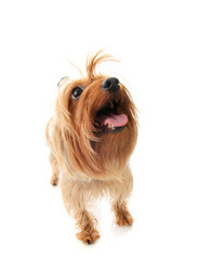 Similar image 287129