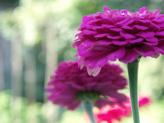 Similar image 287162