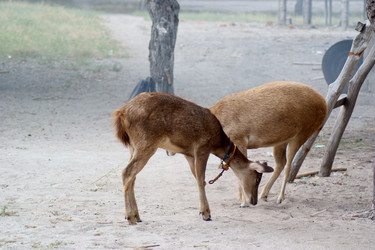 Similar image 287173