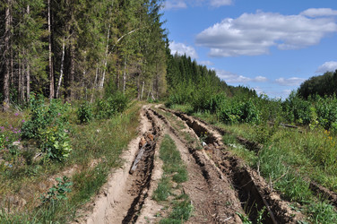 Similar image 287175