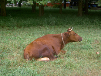 Similar image 287212