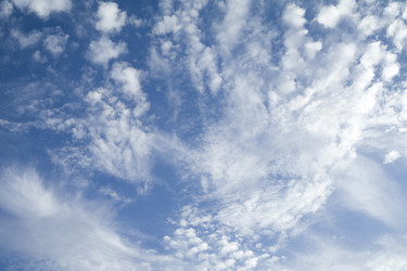 Similar image 287254