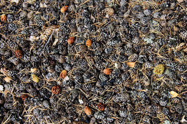 Similar image 287291