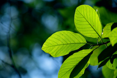 Similar image 287295