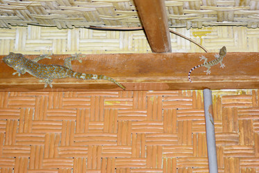 Similar image 287327