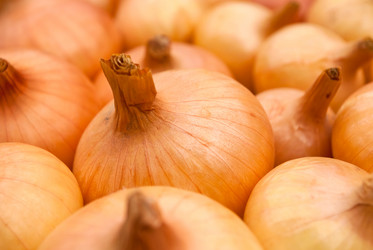 Similar image 287349