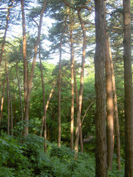 Similar image 287357