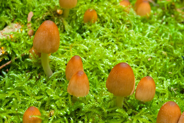 Similar image 287358