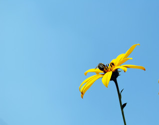 Similar image 287385