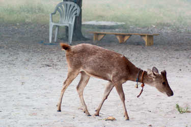 Similar image 287403