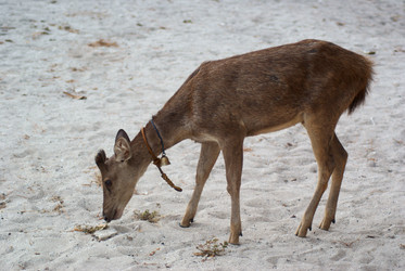 Similar image 287404