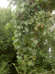 Similar image 287428