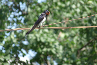 Similar image 287443