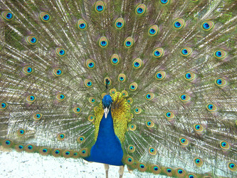 Similar image 287449