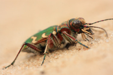 Similar image 287452