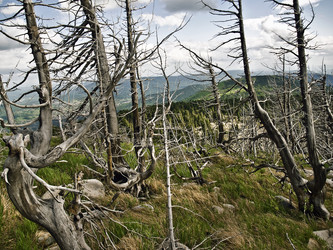 Similar image 287469