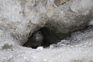 Similar image 287566