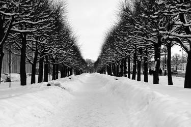 Similar image 287574