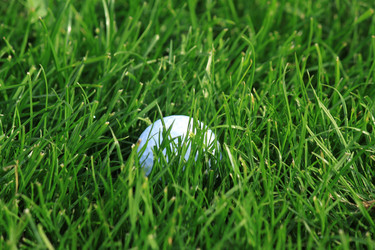 Similar image 287584