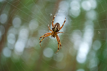 Similar image 287602