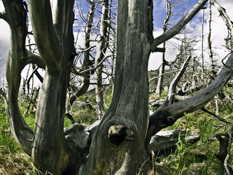 Similar image 287620