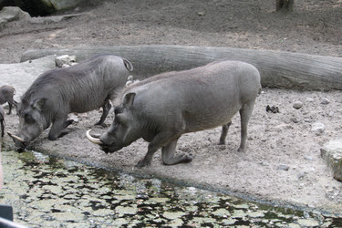 Similar image 287638