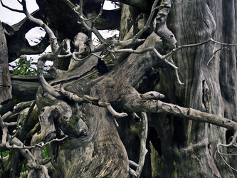 Similar image 287725