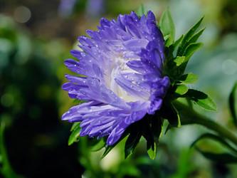 Similar image 287735